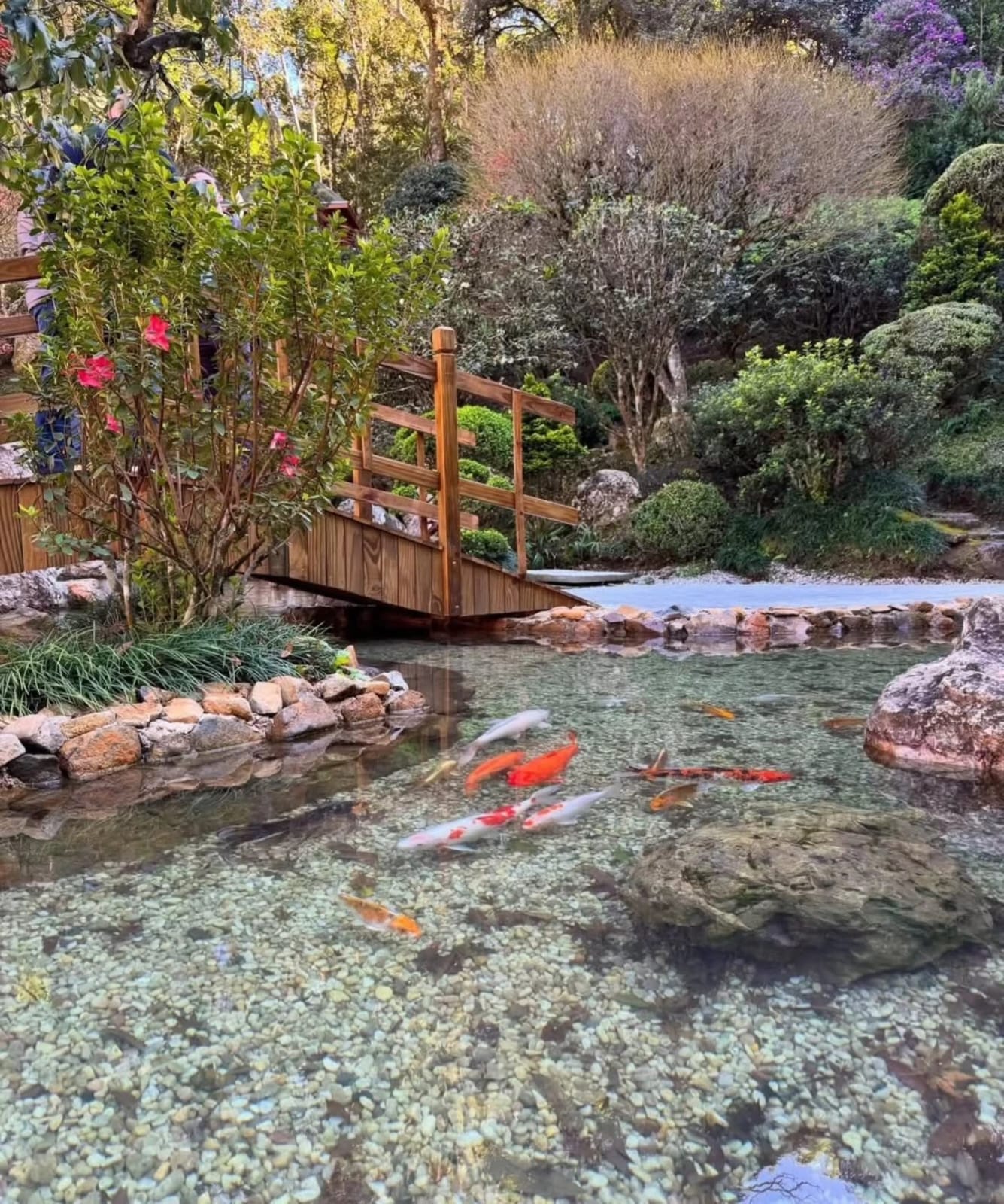 Recanto Japonês — Lago das Carpas